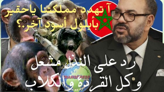 رسالة مفتوحة إلى مشعل وعبره إلى الأصوليين المتشددين و الانفصاليين الانذال والوصوليين الخونة