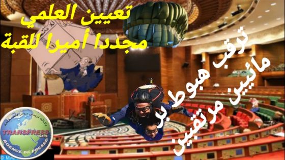 نرجسيين يراهنون على استباحة نزاهة الانتخابات و إقحامها في مستنقع الفساد.