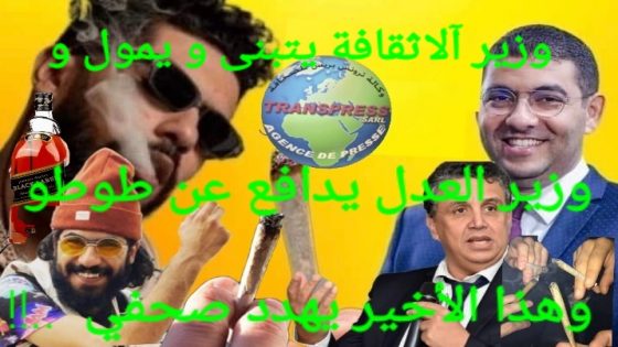 شبه فنان تافه يستفز الشعب ويهدد الصحفي المقتدر التيجيني ووزير يدافع عنه