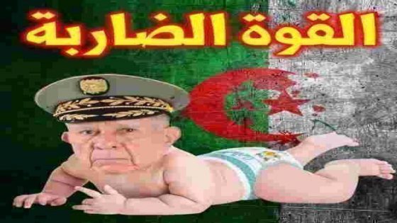 Le chef de l’État algérien declare que l’Algerie est une puissance , No comment