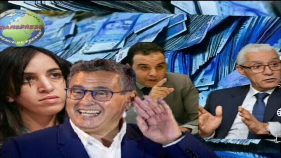 الولاء للوطن والملك أيها السادة والسيدات وليس لأخنوش والحزب