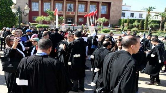 قد يتساءل البعض ” لماذا كل هذا الكم من المحامون الذي يكاد يفوق عدد القضايا وعدد القضاة.؟ ” المملكة بحاجة لمزيد من القضاة وليس لهذا الكم الهائل من المحامين