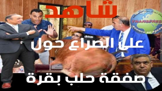 مجلس جماعة بنسليمان القروي بين المطرقة والسندان بسبب “المال السايب” الذي وضع في كف عفريت