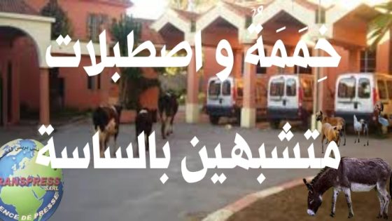 (خِمَمَةٌ دجاج وليست محلات تجارية) بنسليمان الاقليم الوحيد في العالم الذي لا يوجد به نواب حقيقيين ومهندسين