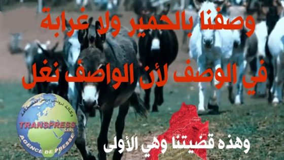 اغضض مِن صوتك يا رجل إِن أَنكَر الْأَصوَاتِ لَصوْت الْحمِيرِ ، كيف تحولت من زعيم مزيف إلى نغل حقير تم من العدالة إلى الاعدالة بلسانك السليط و بخرجاتك المتعفنة