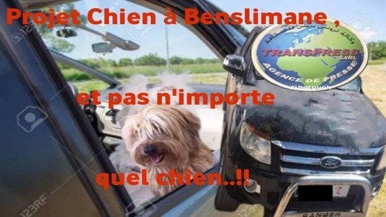 Le propriétaire du chien a maintenu les Résidents de la ville dans une pauvreté abjecte