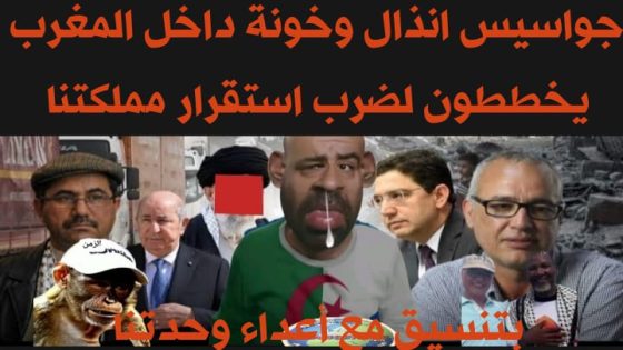 خونة ومرتزقة داخل المملكة يحاولون ضرب استقرار المملكة وشق صف وطنهم المغرب