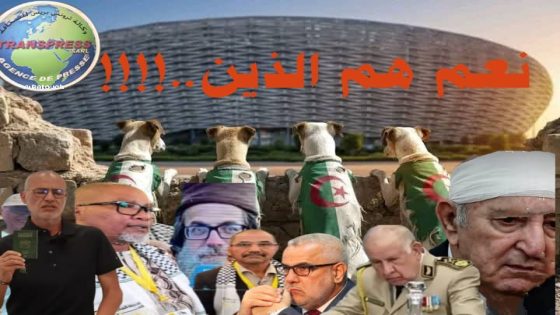 مخططات خونة الداخل وخصوم وحدة المغرب الترابية تكمن في استهداف ممنهج لجيل Z ومحاولة إفساد وضرب الاستقرار الوطني