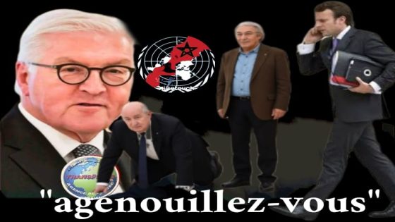 Algérie entre souveraineté proclamée et réalités diplomatiques