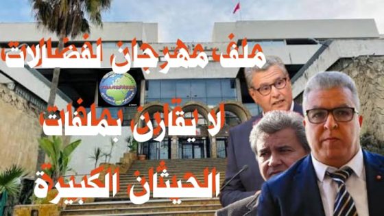 ملف مهرجان لفضالات تم تضخيمه Dramatiser في حين انه قضية صغيرة امام ملفات ” الحيثان الكبيرة”