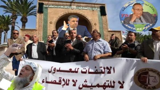 المحكمة الدستورية تلقن وزير العدل وهبي درساً قاسياً في احترام الدستور