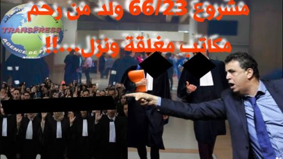 وزير العدل عبد اللطيف وهبي يرافع والمحامون في قفص الانتظار