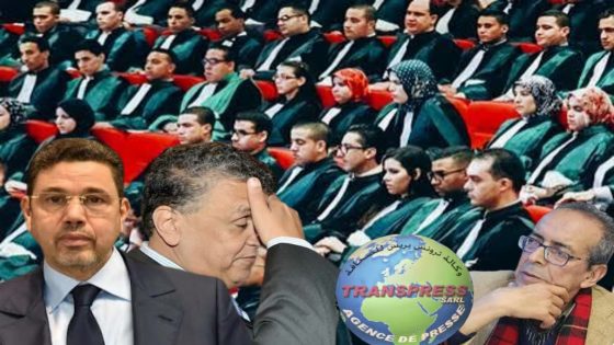 القضاء ليس مجالا للتأويلات السياسية أو التدخلات الإدارية، القاضي الأول هو جلالة الملك وراءه قضاة وقاضيات لا سلطان عليهم إلا السلطان 