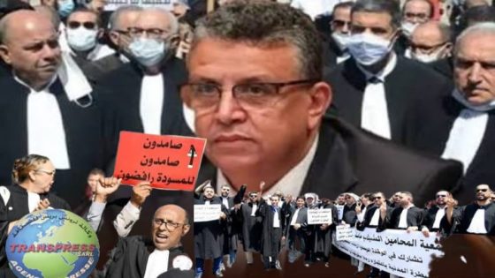 القضاة والقاضيات والمحامون و المحاميات أشرف منك يا وزير…