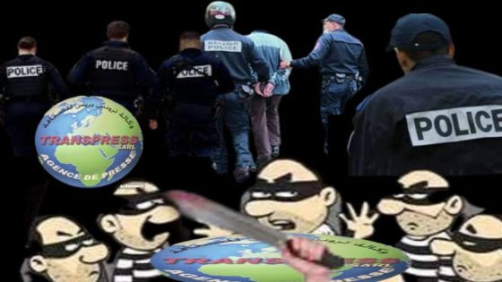 لصوص المال العام من بعض المنتخبين هم أخطر بما لا يقاس من لصوص الهواتف والڤيلات