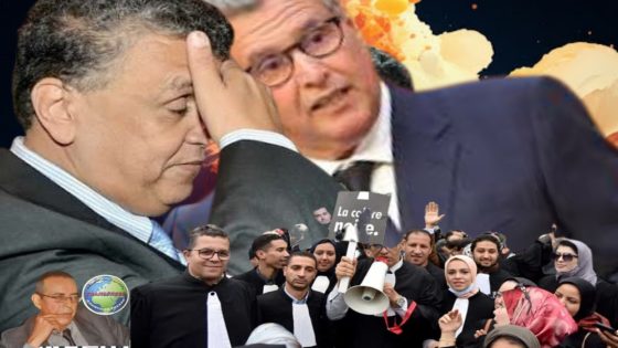 شلل العدالة يتحمل مسؤوليته وهبي و آخنوش وليس المحامون