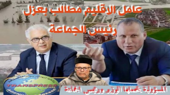 الخيل مربوطة والحمير كاتبورد بالقصر الكبير