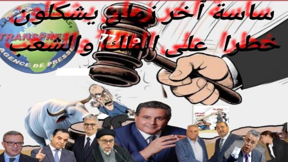 القانون 77/19 الكارثـــــــــــة العظمــــــى