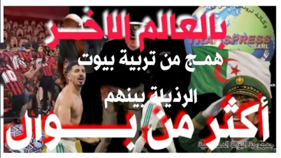 السادة الأفاضل عامل اقليم اسفي ووكيل الملك مطالبون باعطاء تعليماتهم لاعتقال “الهوليغانز الانذال” المخربين وجلهم من المخابرات الجزائرية