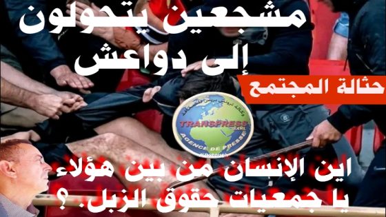 10 أو 15 سنة “ديال البيضنصي والزميط” خلف القضبان هذا ما جنيتم