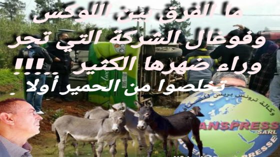 ماذا بعد الاحتفال بالوافدة الجديدة..؟؟