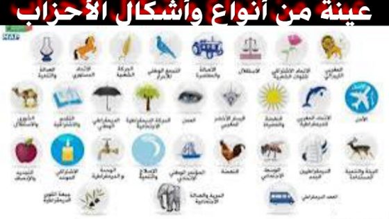 بعد القضاء على رموز الفساد ومحاكمتهم ، يجب حل الأحزاب وإلغاء الانتخابات وحل البرلمان. ولتحقيق إصلاح جذري يحتاج وطني المغرب إلى ملكية تنفيذية