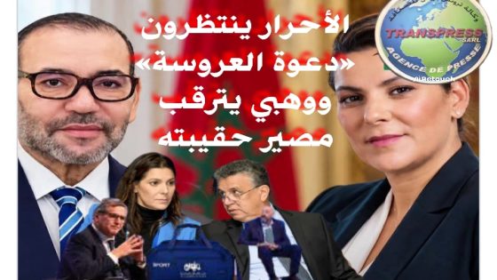 المنصوري في قفص الاتهام و الامتحان هل ستنجح في جمع الفرقاء قبل أن تجمع الوزراء..؟