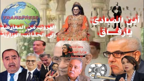 المگردعين بمملكة العجائب والغرائب تحولوا لأصفار خارج اليمين واليسار