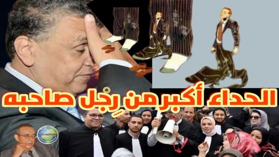 وزارة العدل تحتاج إلى قاضي كفء محايد غير متحزب بعيد عن حسابات الأحزاب