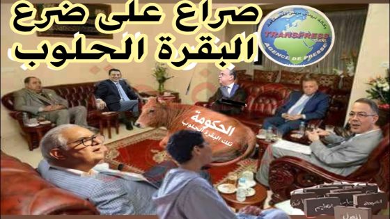 حكومة المنصوري تلك البقرة الحلوب التي تنتظر بدورها القسمة، في حين قادة الأحزاب يتفرجون على الضرع