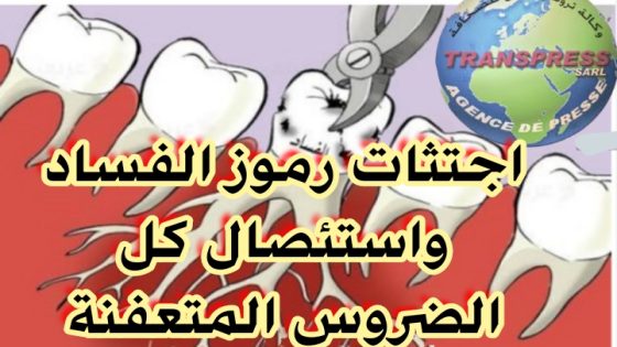 لا يا سادة الوطن وطن الجميع والملك ملك كل المغاربة ، ولا يجب أن يتحول التعيين و الثقة الملكية إلى مظلة للهروب من محاسبة المسؤول المنتخب والوزير لأنه «حظي بثقة جلالة الملك»