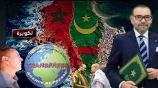 الكويرة.. حين يتحول الاستثمار إلى معركة اقتصادية صامتة